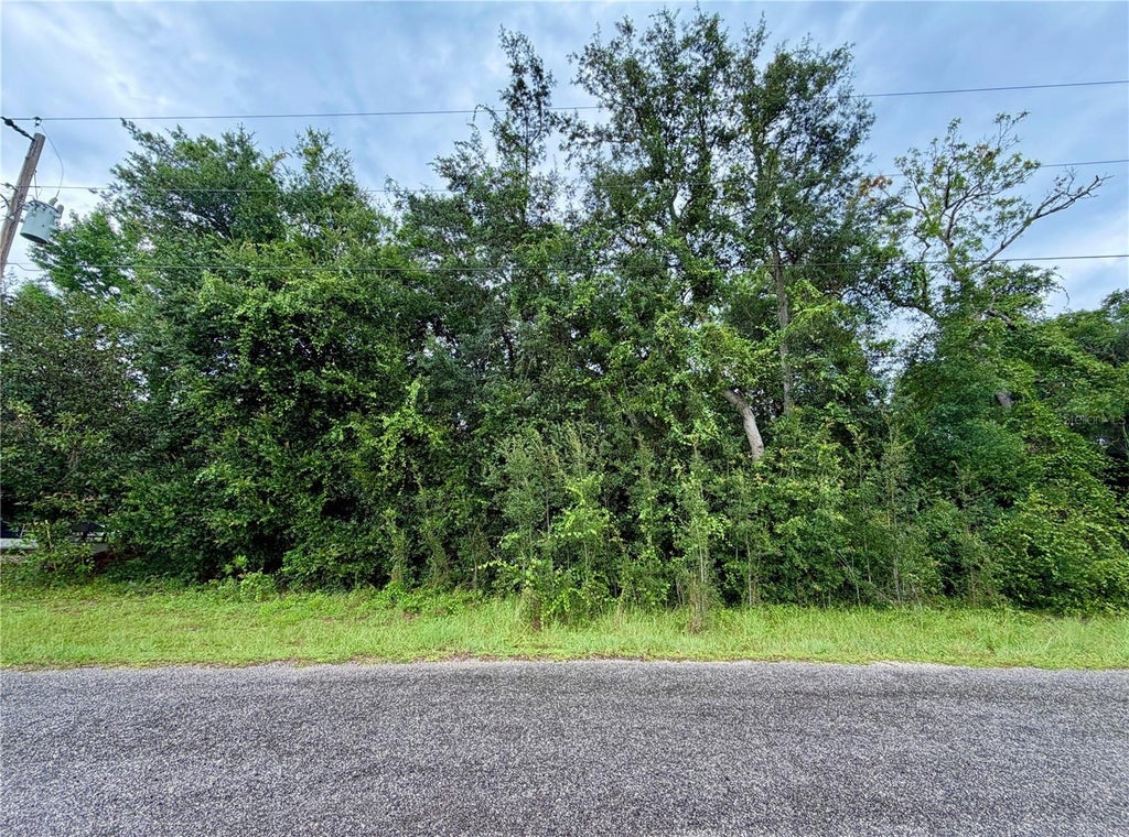 Photo of 0 SE 175th Ter Rd, Silver Springs, FL 34488 (MLS # OM729749)