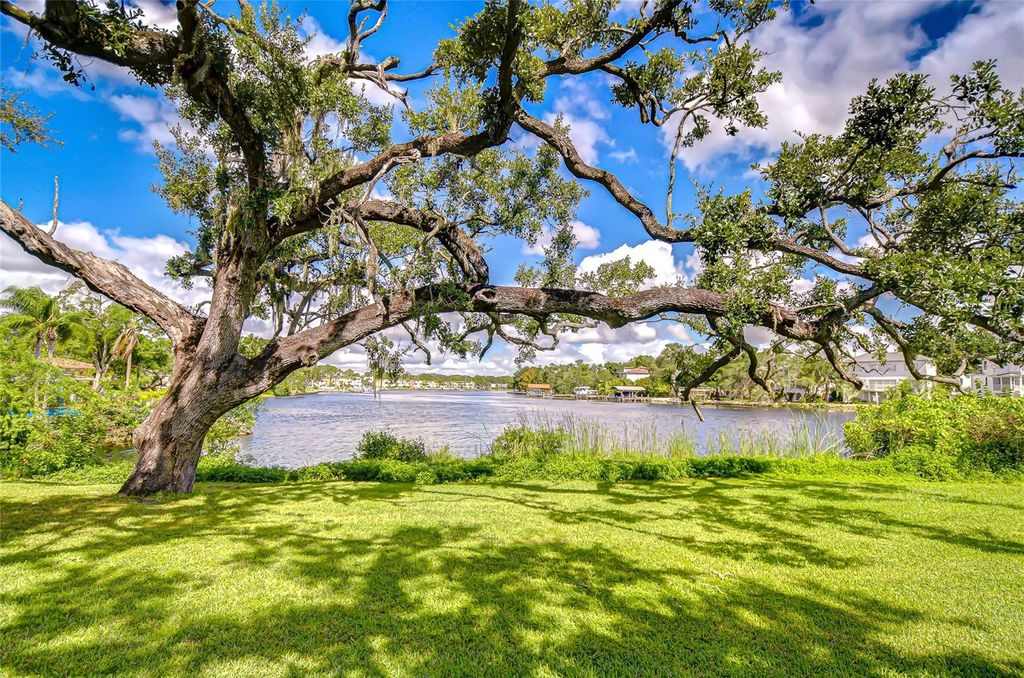 Photo of 3230 N Rome Avenue, Tampa, FL 33607 (MLS # TB8437056)