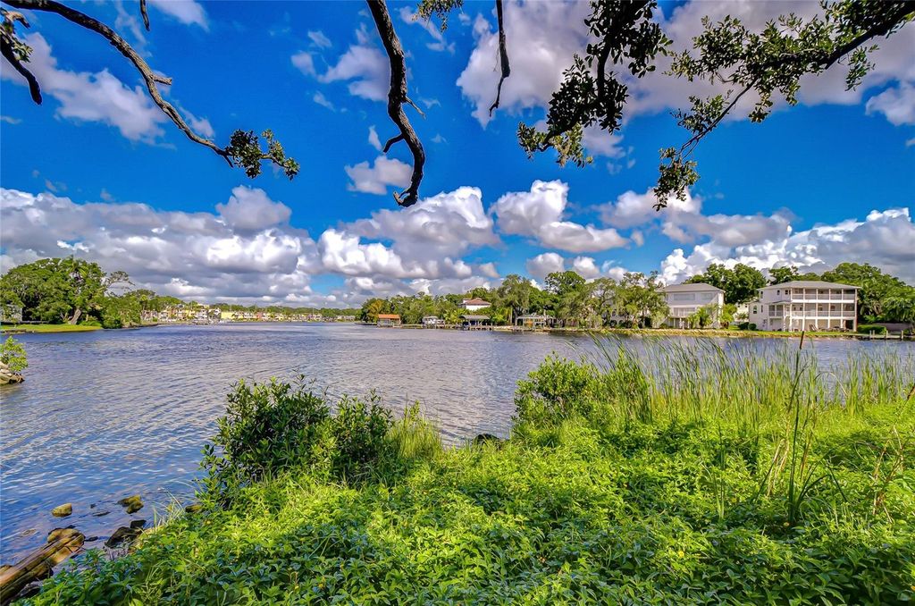 Photo of 3230 N Rome Avenue, Tampa, FL 33607 (MLS # TB8437056)