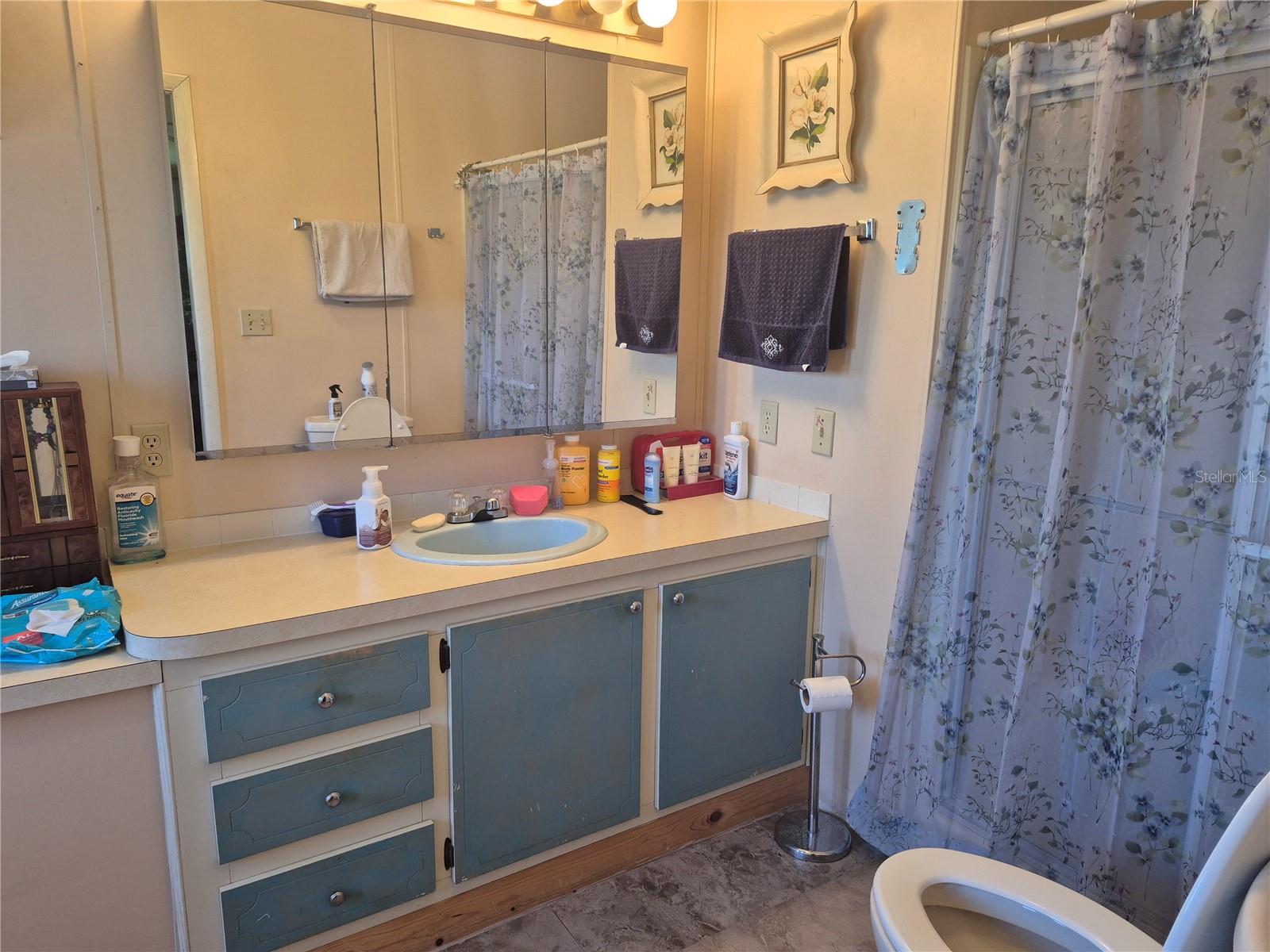 TAVARES FOX RUN MOBILE HOME - Residential