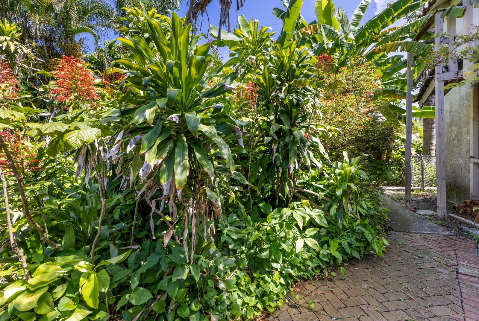 SAPPHIRE SHORES - Residential