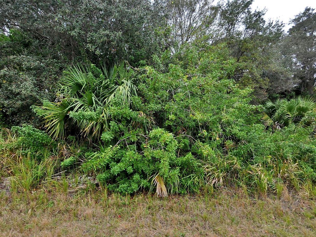 Beautiful, large CORNER LOT in the flourishing city of North Port, home of the Atlanta Braves Spring Training. Located near to I-75, Suncoast Technical College, Shannon Staub Library and plenty of grocery & retail shopping, and dining. Minutes away from the North Port Aquatic Center, the NEW water park that features a 25-meter stretch pool, three slides, and a lazy river. Close to lovely Port Charlotte and Sunseeker Resorts opening Spring 2021. Easy access to a multitude of golf courses, world class fishing, boating and stunning gulf beaches! What are you waiting for? Come make an offer and build your dream home today!