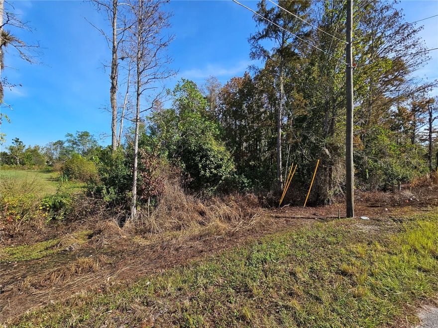 Vacant land available in Holopaw, Florida. This spacious lot offers the perfect opportunity to build single family home or manufactured home. Enjoy peace and privacy surrounded by nature. Zoned for building one dwelling with no HOA or deed restrictions, this property provides flexibility for your vision. Plenty of room for RVs, ATVs, and outdoor recreation, all while being conveniently located near St. Cloud and Melbourne. Don’t miss this opportunity to own affordable land in the heart of Central Florida. All construction and improvements must comply with county zoning, permitting, and building regulations. All known details are included in the listing; for additional information, please contact Osceola County directly.