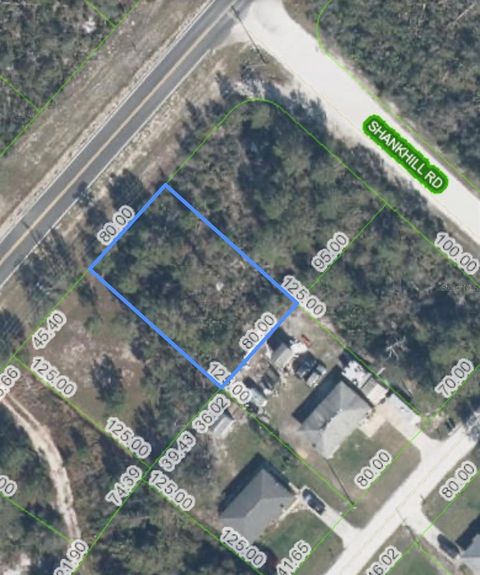 Photo of 10406 S Orange Blossom Boulevard, Sebring, FL 33875 (MLS # O6413890)