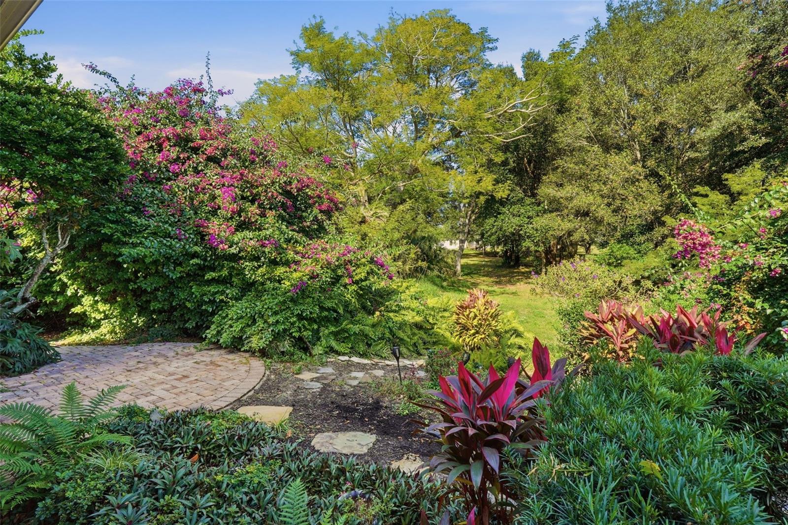 HAWKSNEST - Residential