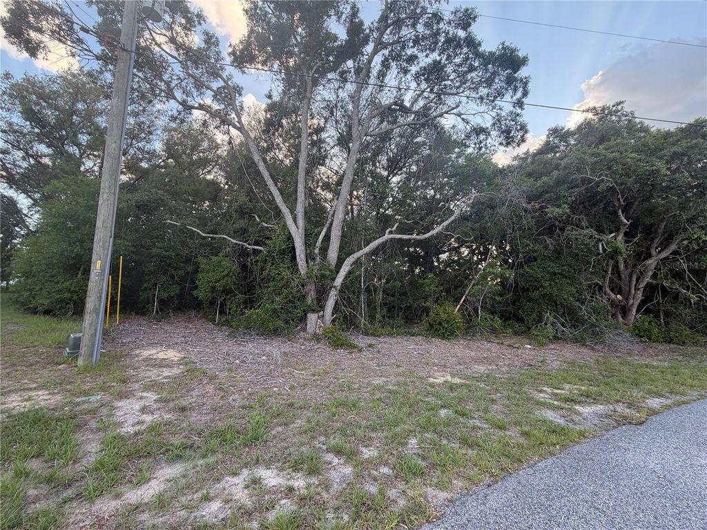 Photo of Lot 4, Ocala, FL 34473 (MLS # TB8510385)