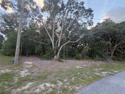 Photo of Lot 4, Ocala, FL 34473 (MLS # TB8510385)