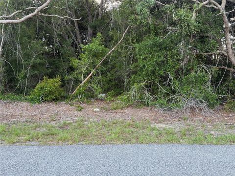 Tiny photo for Lot 4, Ocala, FL 34473 (MLS # TB8510385)