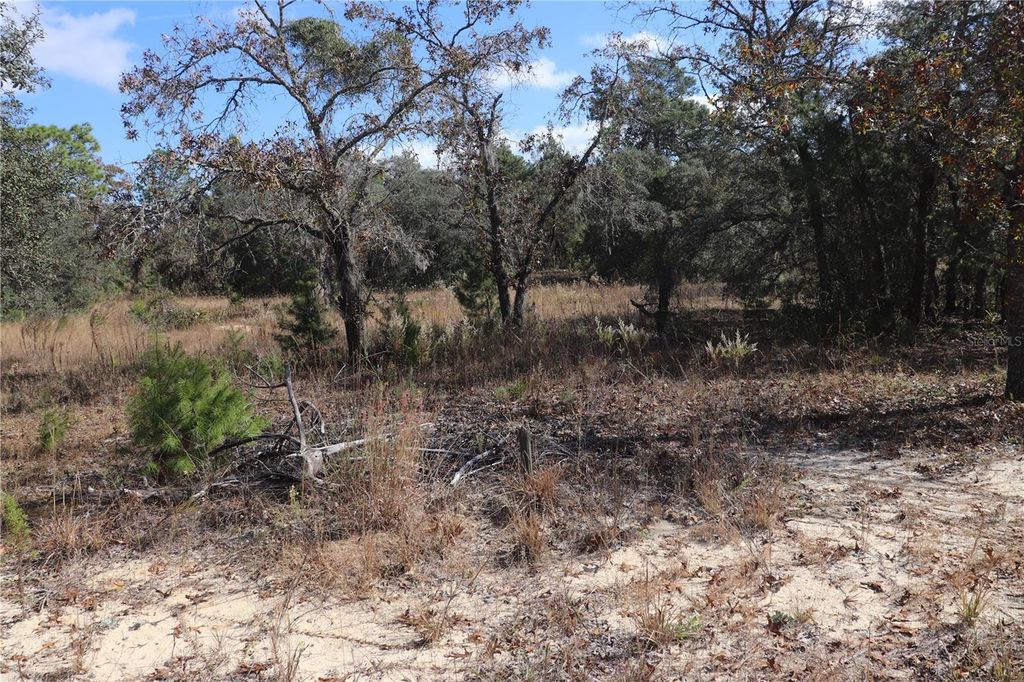 Photo of 9097 N Peewee Point, Dunnellon, FL 34433 (MLS # OM714497)