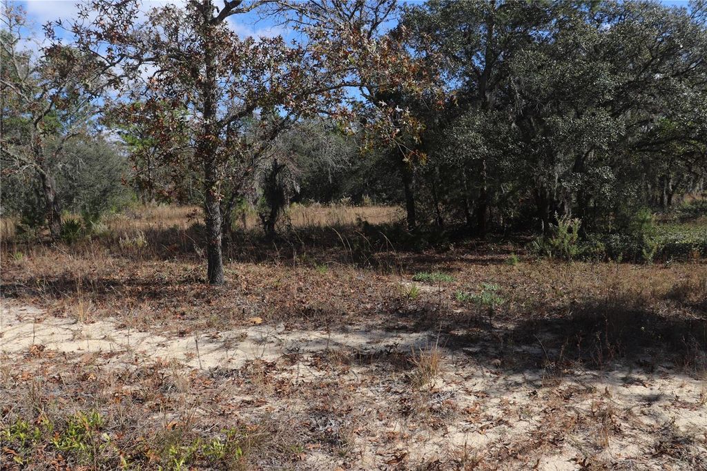 Photo of 9097 N Peewee Point, Dunnellon, FL 34433 (MLS # OM714497)