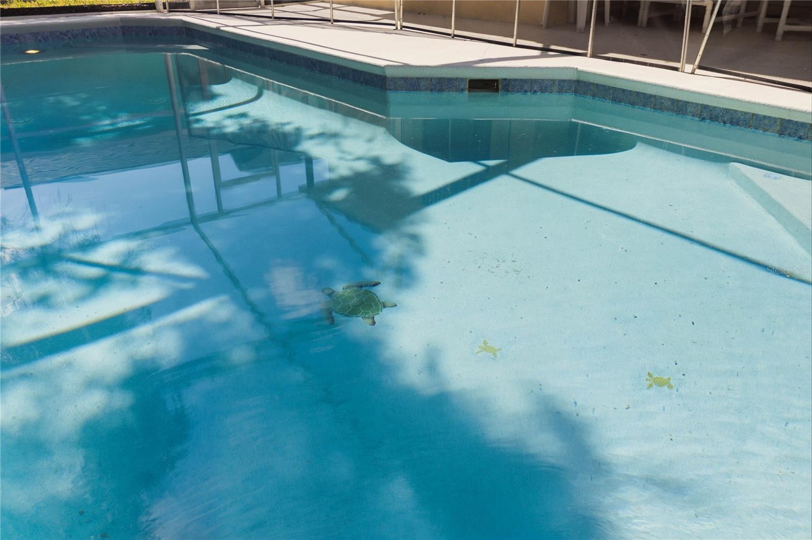 RESERVE AT TOWN CENTER - Residential