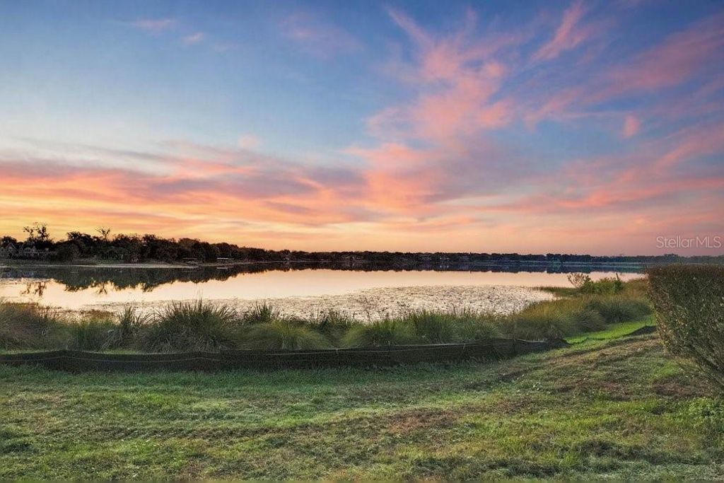 Photo of 812 East Boulevard, Windermere, FL 34786 (MLS # O6394559)