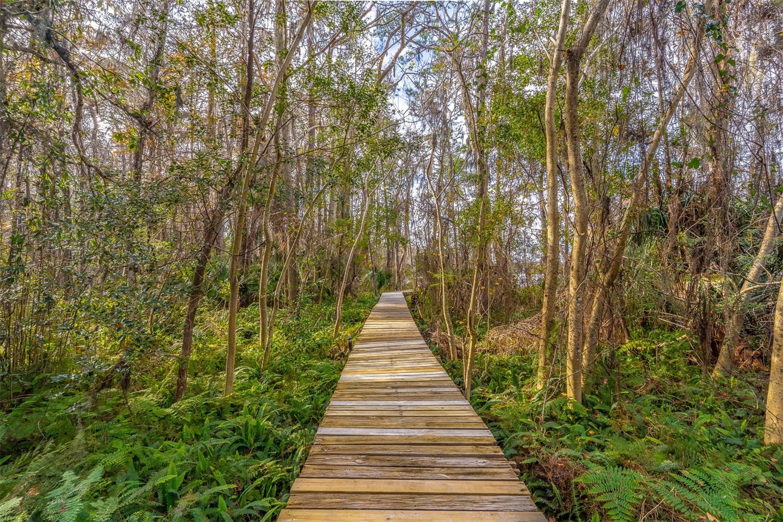 COUNTRY LAKE ESTATES - Residential