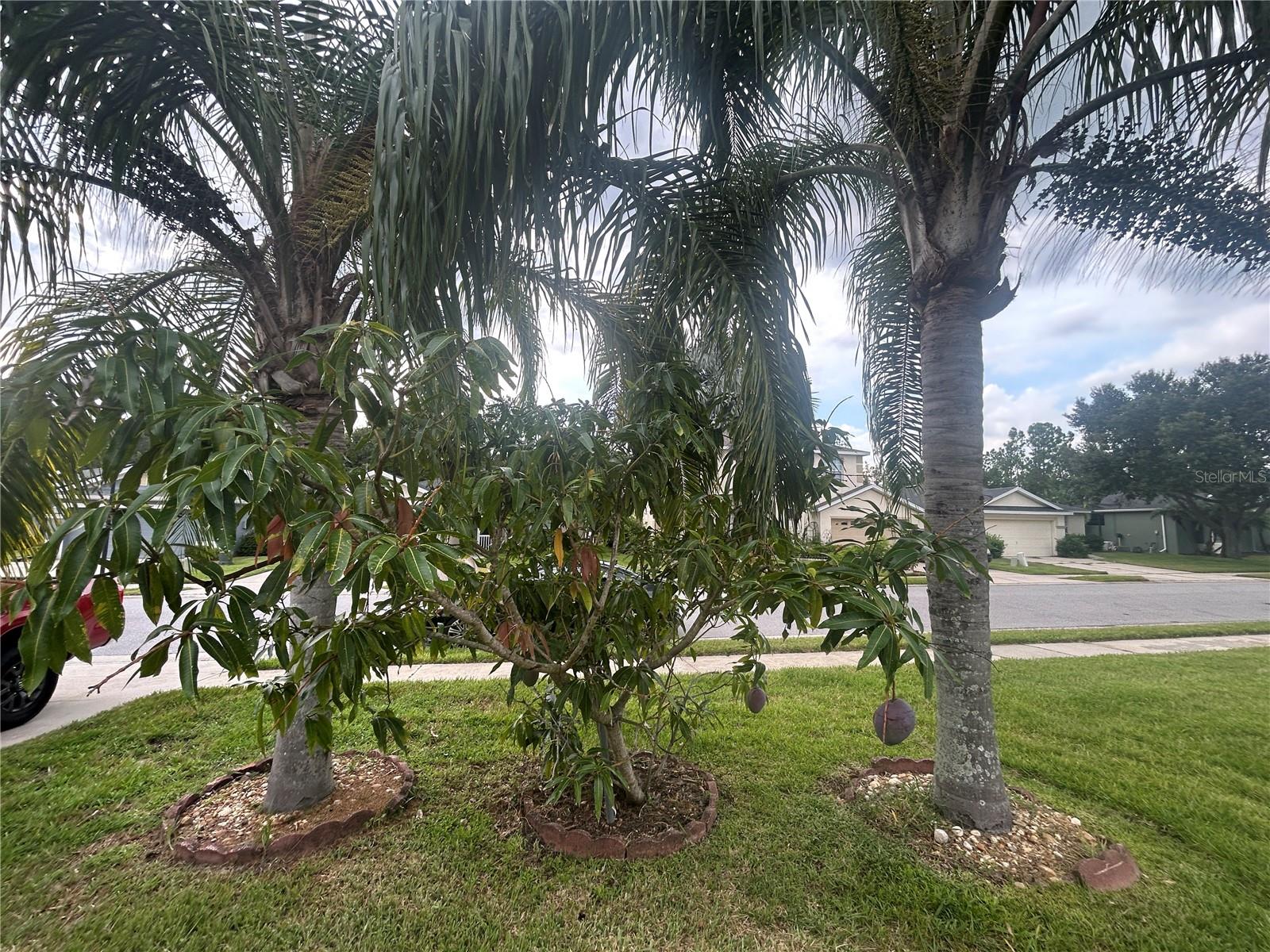 3999 WHISTLEWOOD CIRCLE