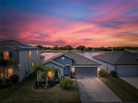 3713 ROMANO BUSCIGLIO STREET TAMPA FL 33619