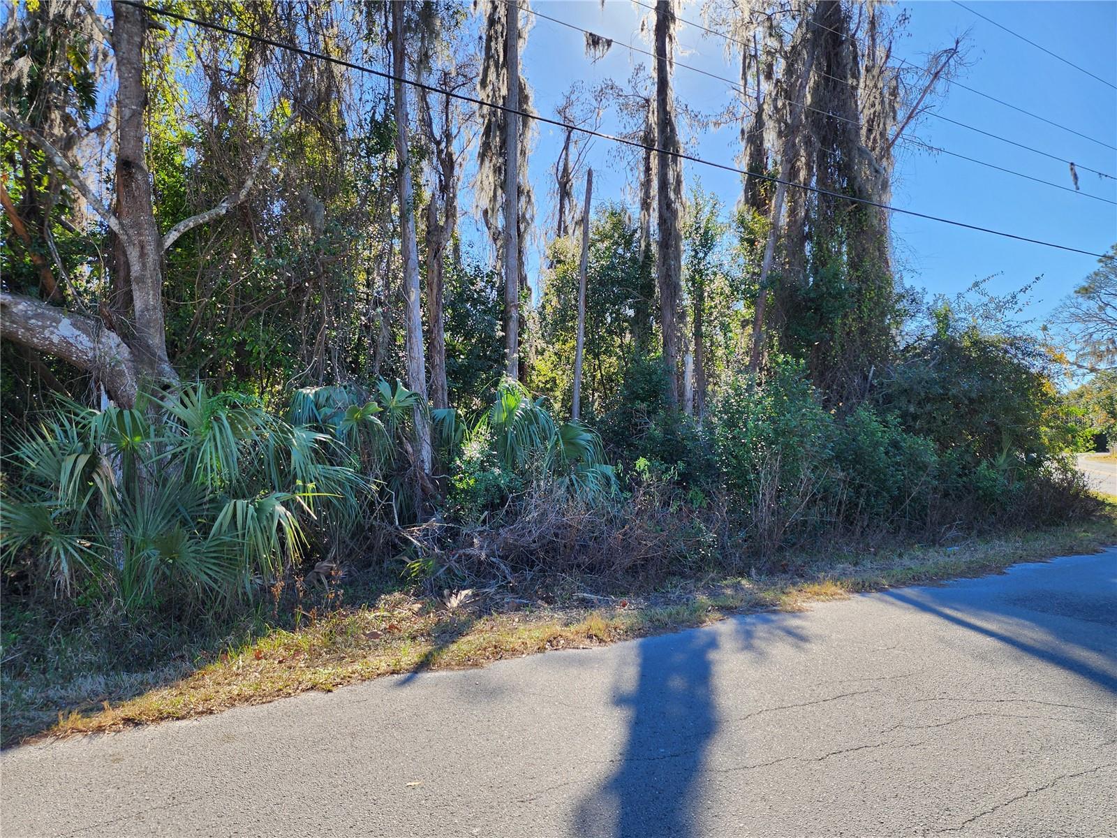 MOON LAKE ESTATES - Land