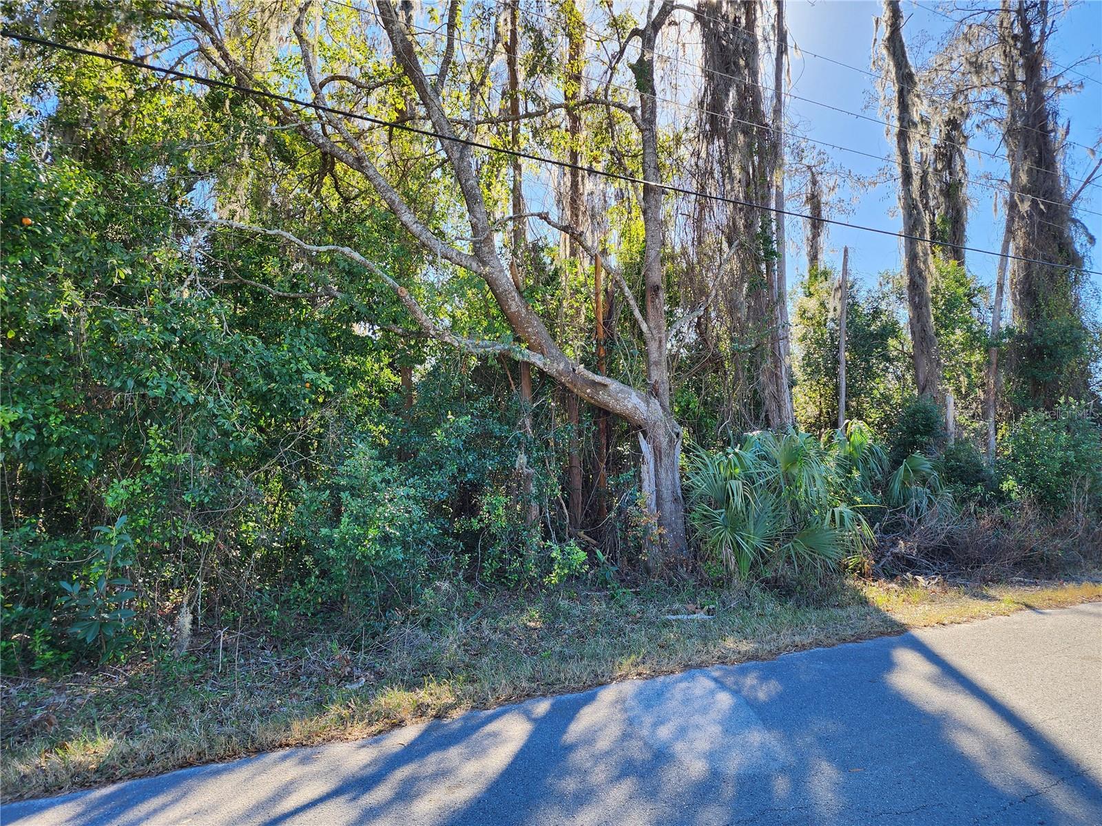 MOON LAKE ESTATES - Land