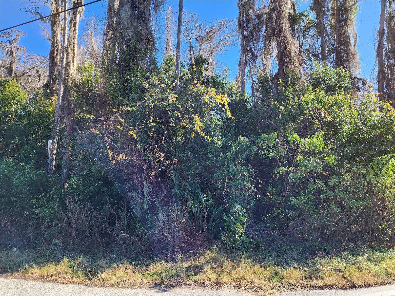 MOON LAKE ESTATES - Land