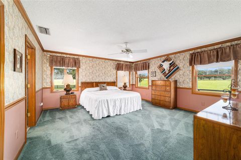 Tiny photo for 10880 NW 160th Avenue, Morriston, FL 32668 (MLS # OM709897)