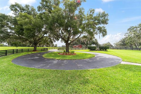 Tiny photo for 10880 NW 160th Avenue, Morriston, FL 32668 (MLS # OM709897)