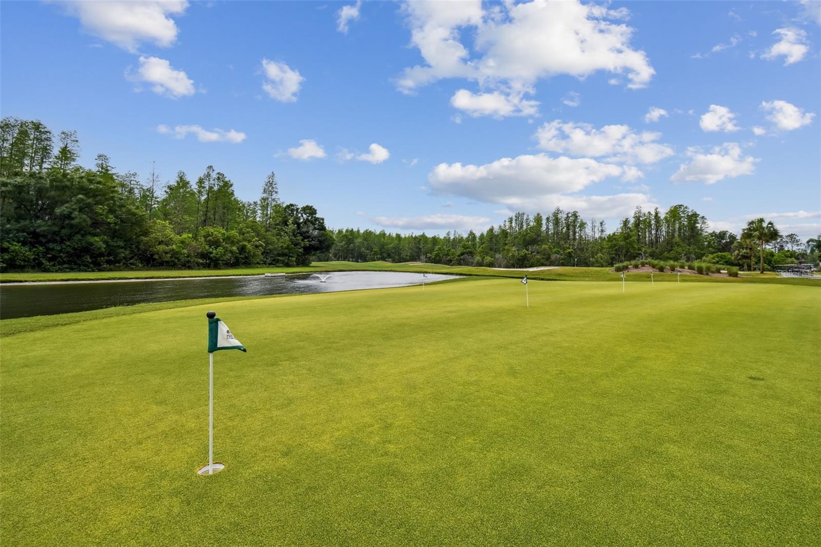 GROVES PH 02 CLUB VILLAS - Residential