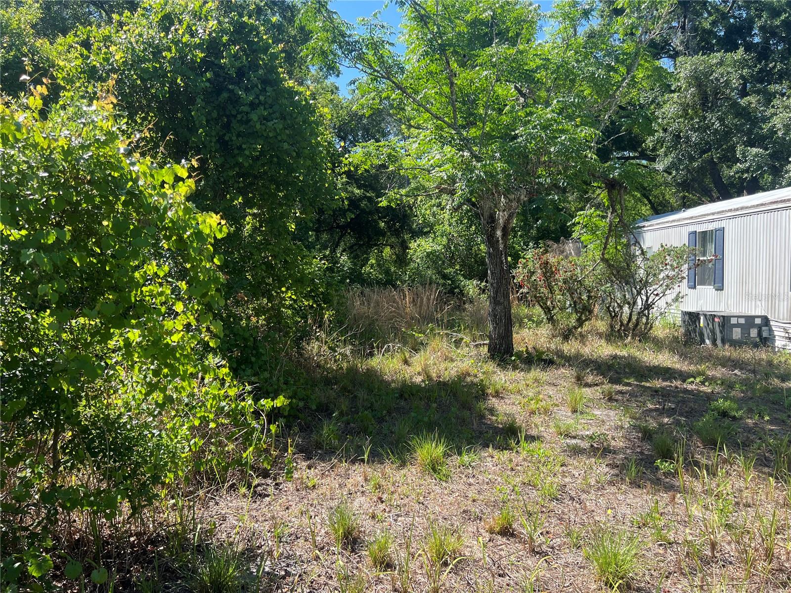 MOON LAKE ESTATES - Residential