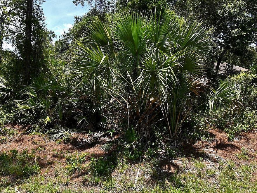 Great opportunity to secure a residential lot in an established and quiet neighborhood of North Port, Florida. Whether you’re looking to build now or hold for future appreciation, this property offers flexibility and strong potential in a steadily expanding area.
Conveniently positioned near local schools, shopping centers, restaurants, and healthcare facilities, this lot provides easy access to daily essentials while maintaining a peaceful residential feel. Just a short drive to Warm Mineral Springs, nearby parks, and a variety of outdoor recreational areas, along with quick connections to Sarasota, Venice, and surrounding Gulf Coast destinations.
With unbeatable advantages: no HOA, no CDD, no Scrub Jay zone (per the Sarasota County Property Appraiser website as of 05/03/26, please reconfirm during due diligence), and an environmental study already completed (available upon request).
A solid option for builders, investors, or end-users seeking value in one of Southwest Florida’s most active and growing markets.