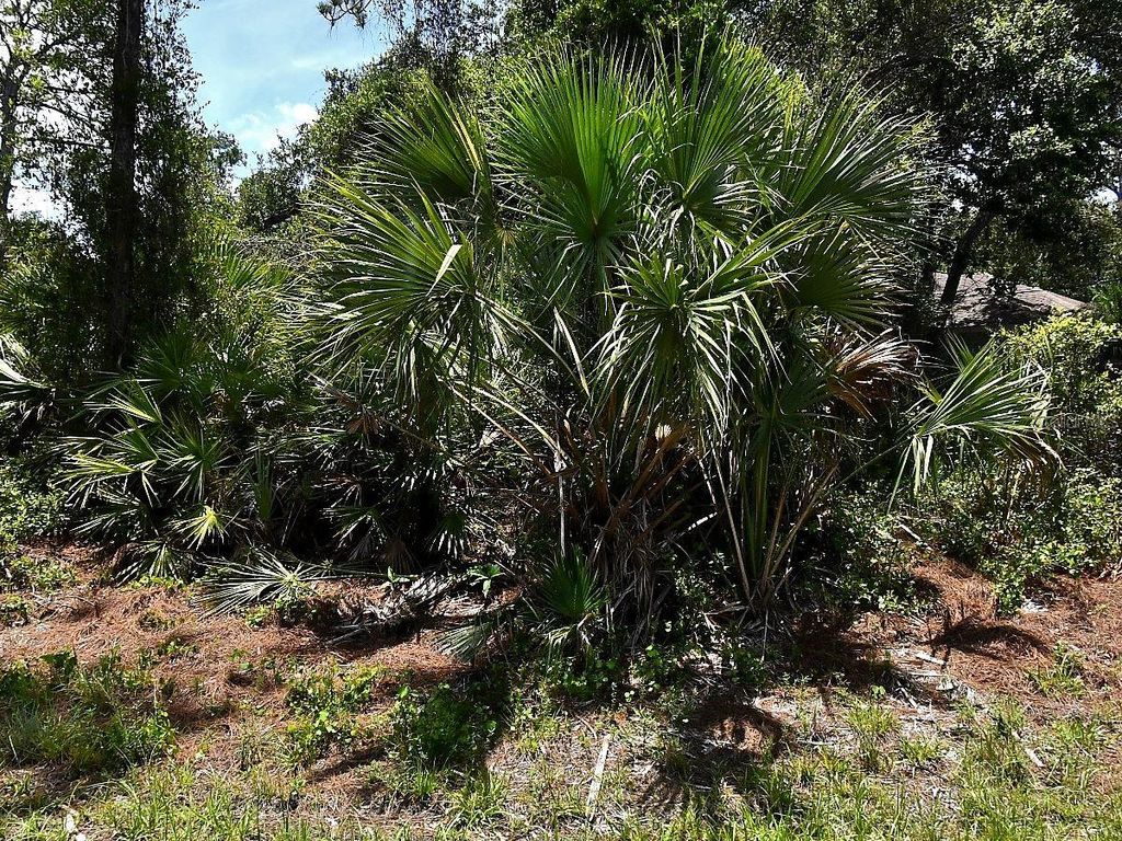 Photo of Van Eck Road, North Port, FL 34291 (MLS # O6405228)