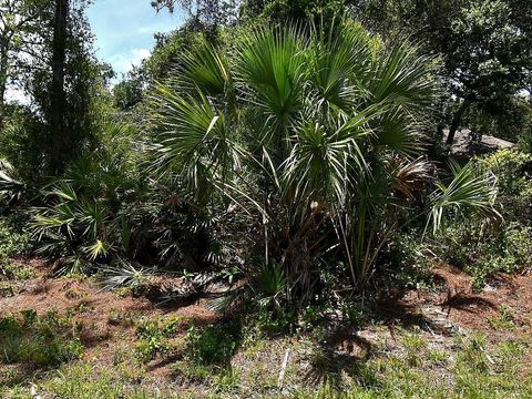 VAN ECK ROAD NORTH PORT FL 34291