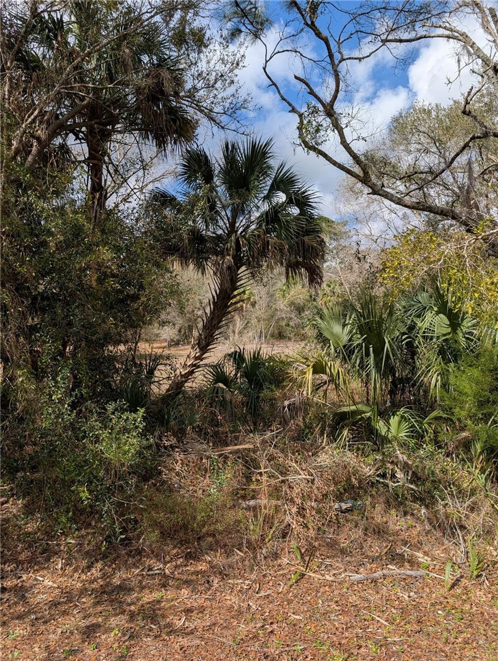 Photo of Lorie Street, Inglis, FL 34449 (MLS # OM721292)