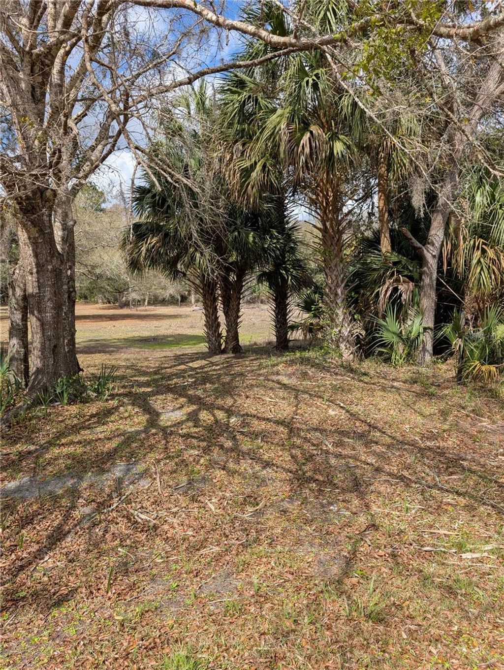 Photo of Lorie Street, Inglis, FL 34449 (MLS # OM721292)