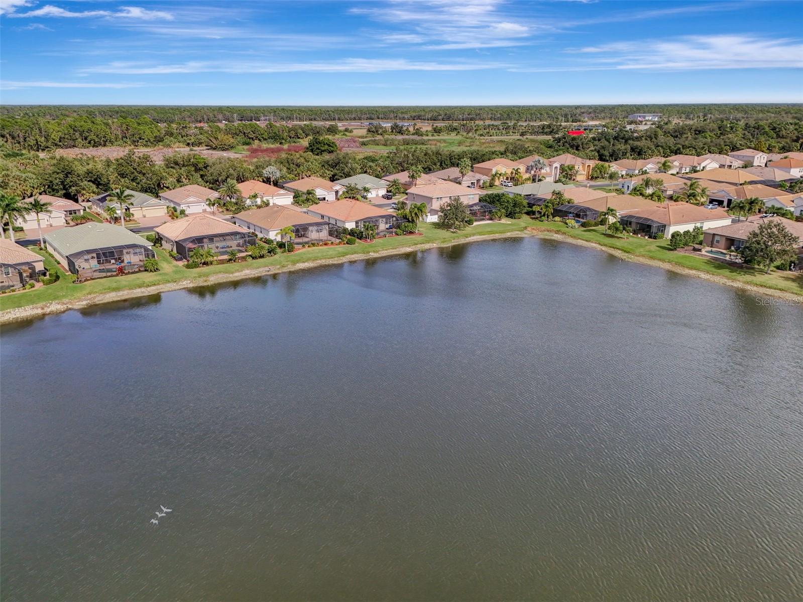 STONEYBROOK AT VENICE - Residential