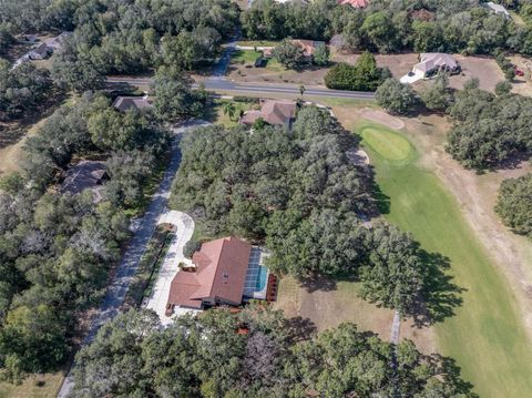 Tiny photo for 115 E Ireland Court, Hernando, FL 34442 (MLS # OM716855)