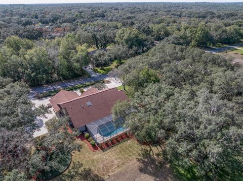 Tiny photo for 115 E Ireland Court, Hernando, FL 34442 (MLS # OM716855)