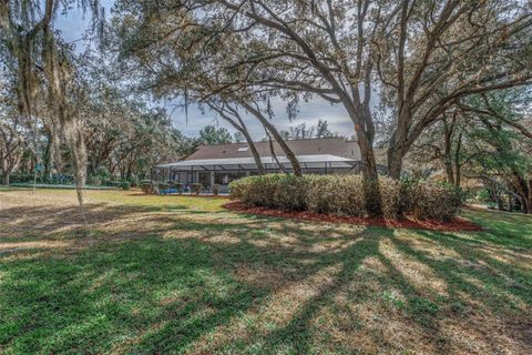 Tiny photo for 115 E Ireland Court, Hernando, FL 34442 (MLS # OM716855)