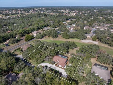 Tiny photo for 115 E Ireland Court, Hernando, FL 34442 (MLS # OM716855)