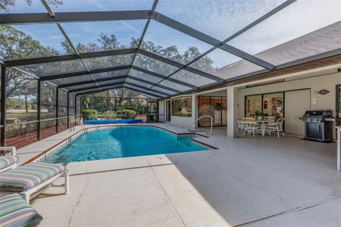 Tiny photo for 115 E Ireland Court, Hernando, FL 34442 (MLS # OM716855)