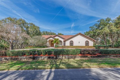 Tiny photo for 115 E Ireland Court, Hernando, FL 34442 (MLS # OM716855)