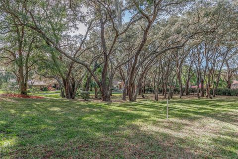 Tiny photo for 115 E Ireland Court, Hernando, FL 34442 (MLS # OM716855)