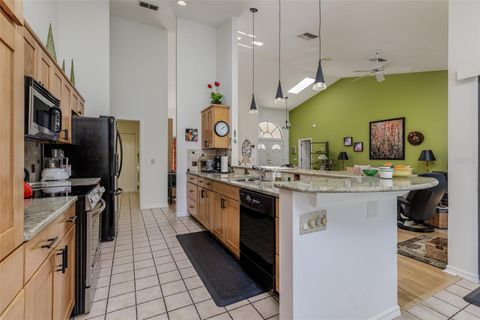 Tiny photo for 115 E Ireland Court, Hernando, FL 34442 (MLS # OM716855)