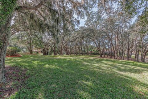 Tiny photo for 115 E Ireland Court, Hernando, FL 34442 (MLS # OM716855)