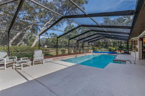 Tiny photo for 115 E Ireland Court, Hernando, FL 34442 (MLS # OM716855)