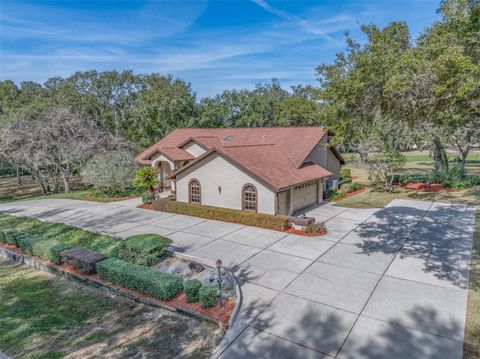 Tiny photo for 115 E Ireland Court, Hernando, FL 34442 (MLS # OM716855)