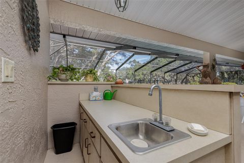 Tiny photo for 115 E Ireland Court, Hernando, FL 34442 (MLS # OM716855)