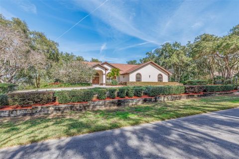 Tiny photo for 115 E Ireland Court, Hernando, FL 34442 (MLS # OM716855)