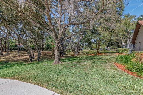 Tiny photo for 115 E Ireland Court, Hernando, FL 34442 (MLS # OM716855)