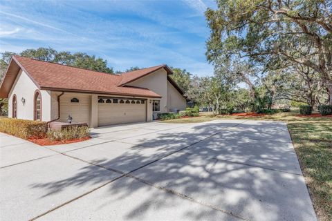 Tiny photo for 115 E Ireland Court, Hernando, FL 34442 (MLS # OM716855)