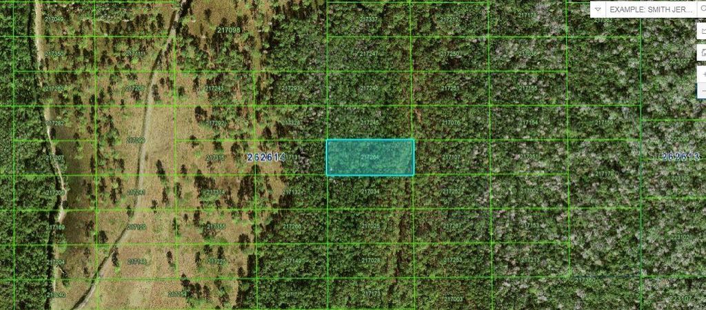 Photo of N/A, Polk City, FL 33868 (MLS # O6228327)