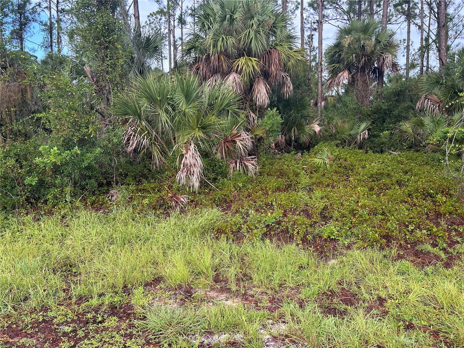 Discover this prime oversized lot in the heart of North Port, Florida, measuring 125x125x148x64 with 64 feet of paved road frontage. This property offers the perfect canvas to design and build your dream home. Located close to shopping, grocery stores, golf courses, and schools, this homesite also puts you just minutes from Port Charlotte Town Center Mall. Enjoy the best of Southwest Florida living ---only 25 minutes to Charlotte Harbor and the Myakka River, 30 minutes to Venice, FL. and about 45-50 minutes to both Sarasota and Ft. Myers, FL. No HOA or deed restrictions which allows you to have the freedom and lifestyle you've always wanted. Don't miss this opportunity to secure your piece of Florida paradise!