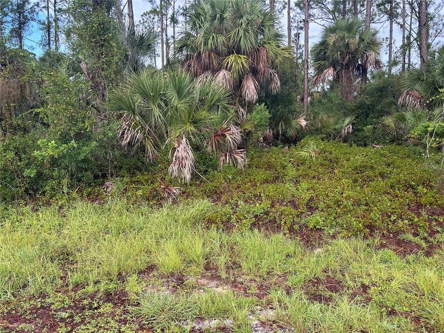 Discover this prime oversized lot in the heart of North Port, Florida, measuring 125x125x148x64 with 64 feet of paved road frontage. This property offers the perfect canvas to design and build your dream home. Located close to shopping, grocery stores, golf courses, and schools, this homesite also puts you just minutes from Port Charlotte Town Center Mall. Enjoy the best of Southwest Florida living ---only 25 minutes to Charlotte Harbor and the Myakka River, 30 minutes to Venice, FL. and about 45-50 minutes to both Sarasota and Ft. Myers, FL. No HOA or deed restrictions which allows you to have the freedom and lifestyle you've always wanted. Don't miss this opportunity to secure your piece of Florida paradise!